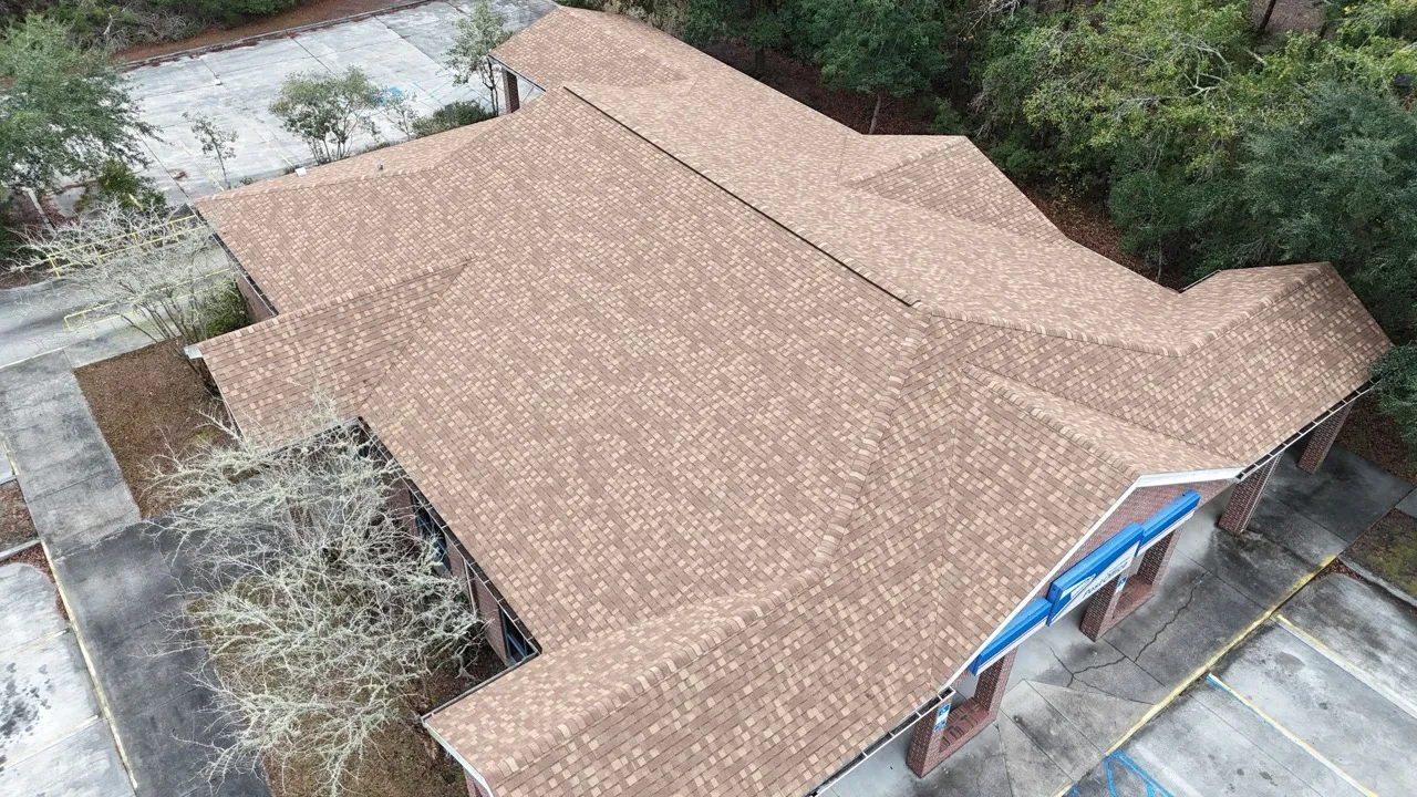 Roof Moss and Algae in Florida: Prevention, Removal, and Treatment Roof Moss and Algae in Florida: Prevention, Removal, and Treatment